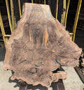 Claro Walnut WA1312