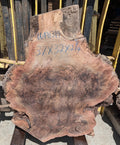 Claro Walnut WA1314