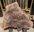 Claro Walnut Wa1315