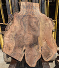 Claro Walnut WA1316