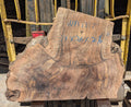 Claro Walnut WA1317