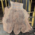 Claro Walnut WA1321