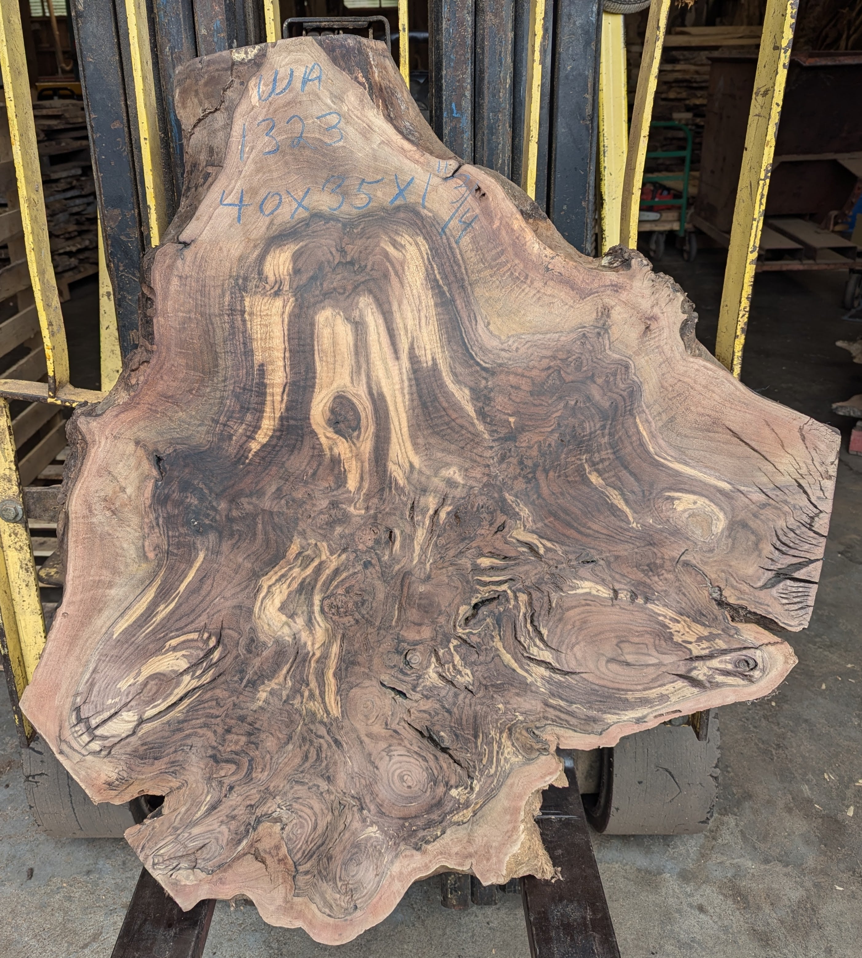 Claro Walnut WA1323  { Call for shipping quote }