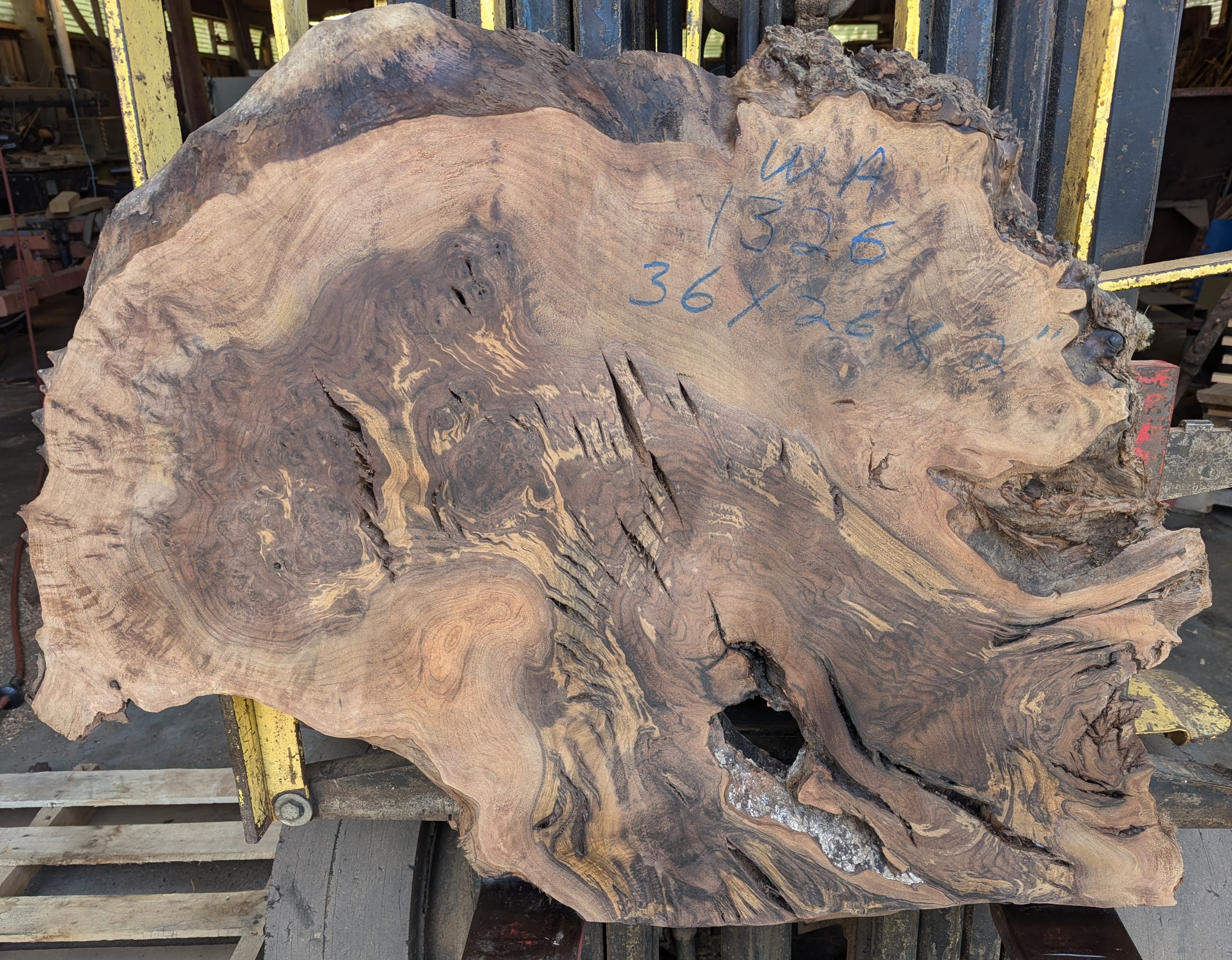 Claro Walnut WA1326 { Call for shipping quote }