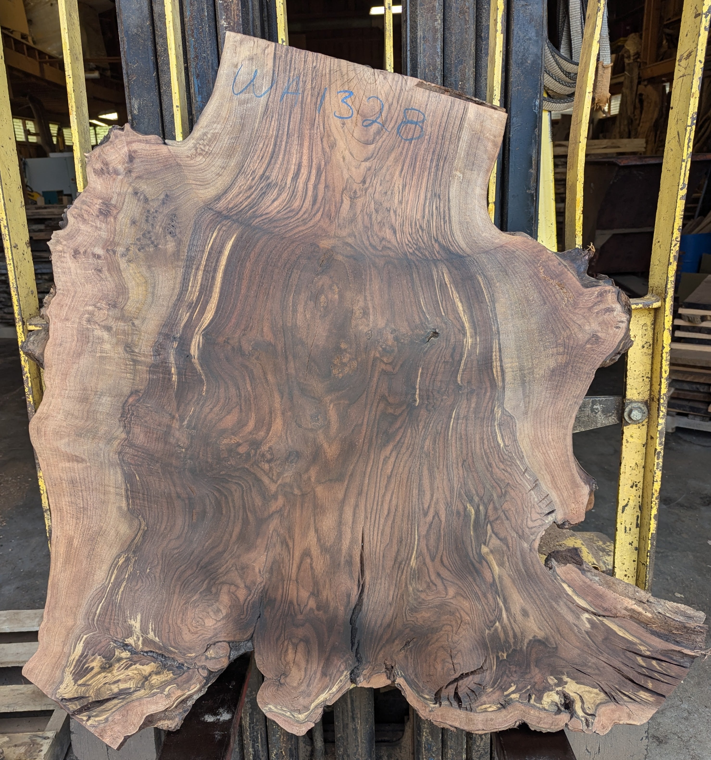 Claro Walnut WA1328 { Call for shipping quote }