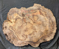 Myrtle Wood Burl MY6241 { Call for shipping quote }