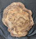 Myrtle Wood Burl MY6242 { Call for shipping quote }
