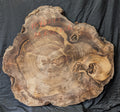 Myrtle Wood Burl MY6243 { Call for shipping }
