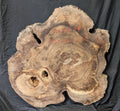 Myrtle Wood Burl MY6244 { Call for shipping quote }