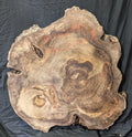 Myrtle Wood Burl  MY6245 { Call for shipping quote }