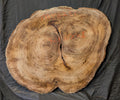 Myrtle Wood MY6251 { Call for shipping quote }