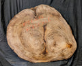 Myrtle Wood MY6252 {Call for shipping quote }