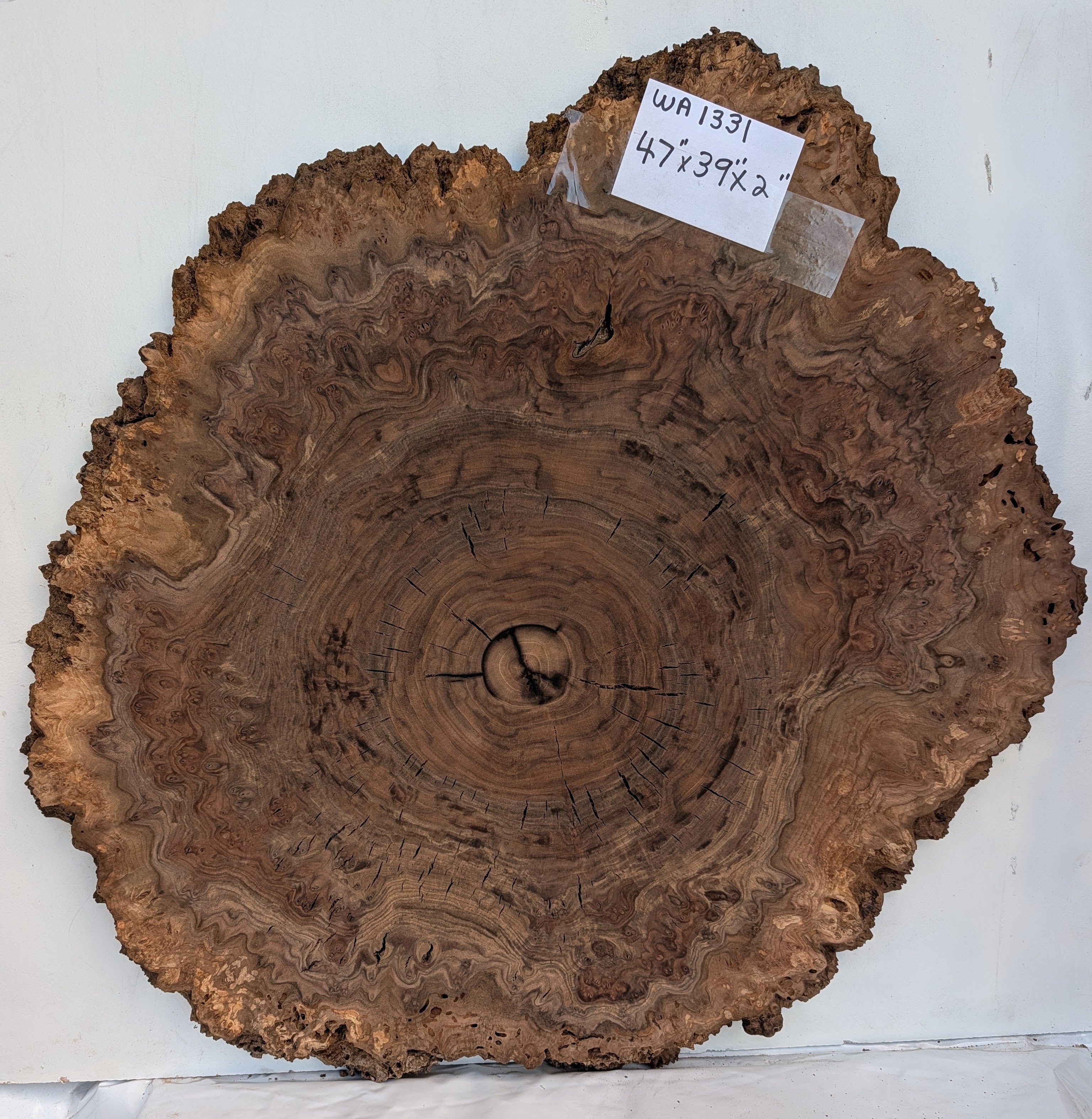 Claro Walnut WA1331