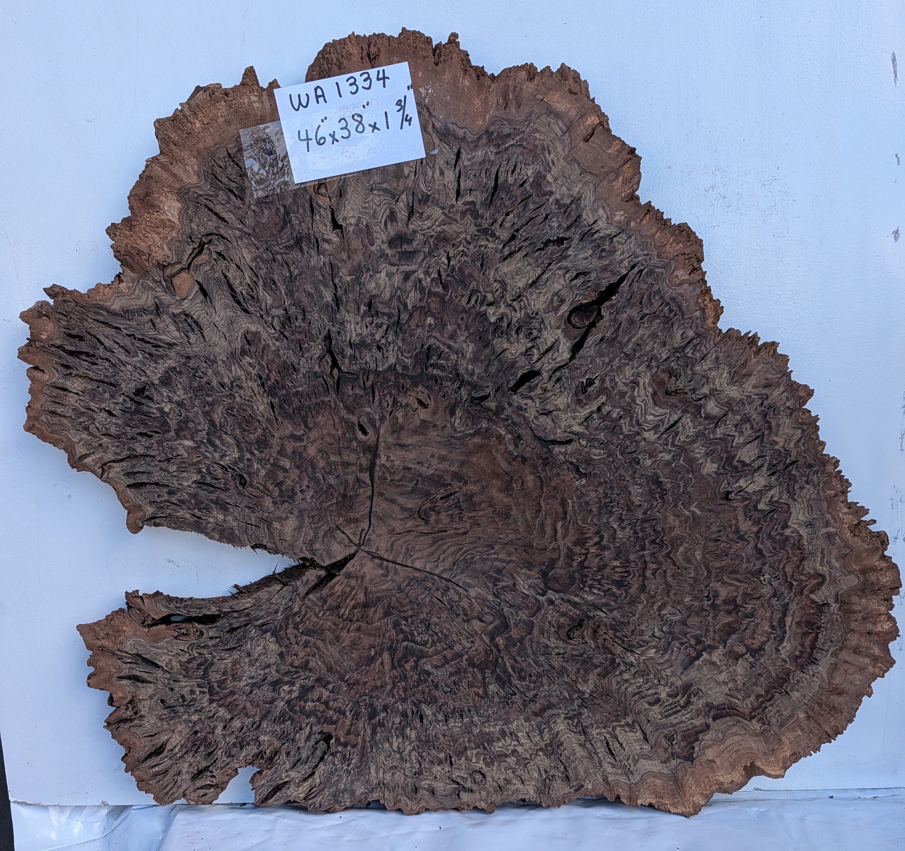 Claro Walnut WA1334