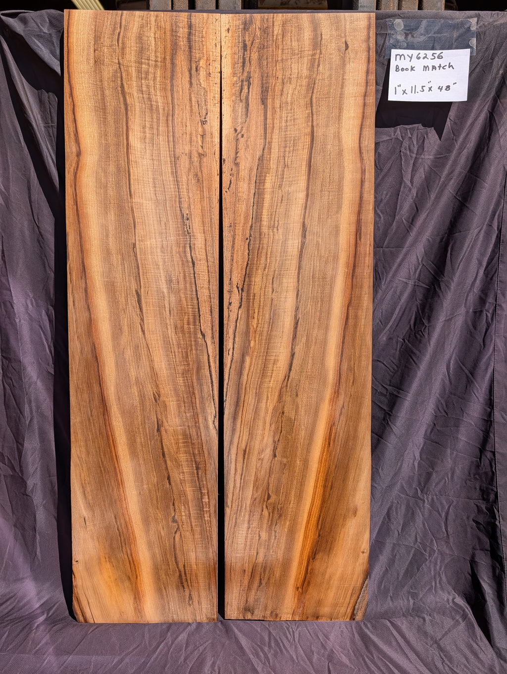Myrtle Wood MY6256
