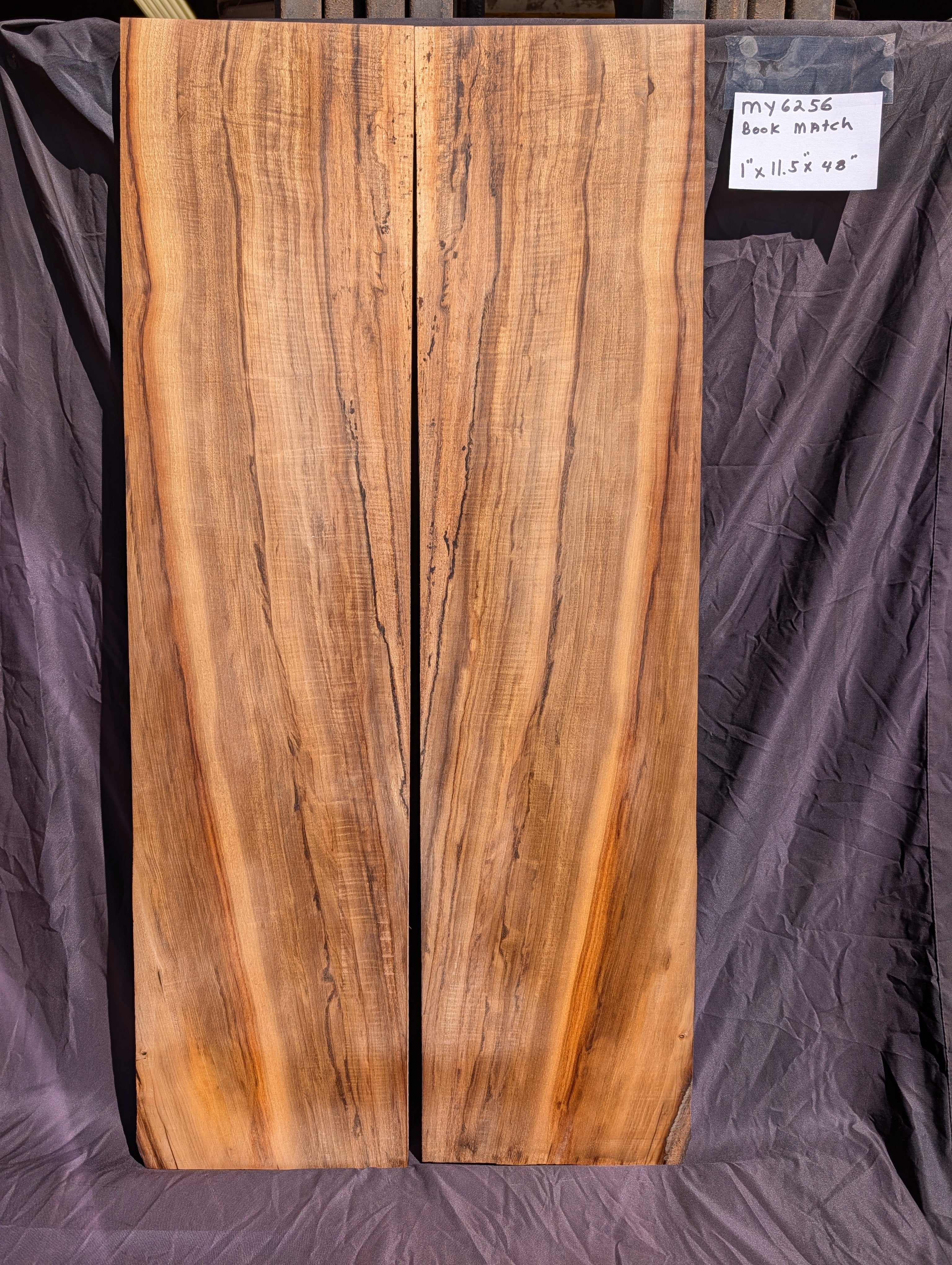 Myrtle Wood MY6256