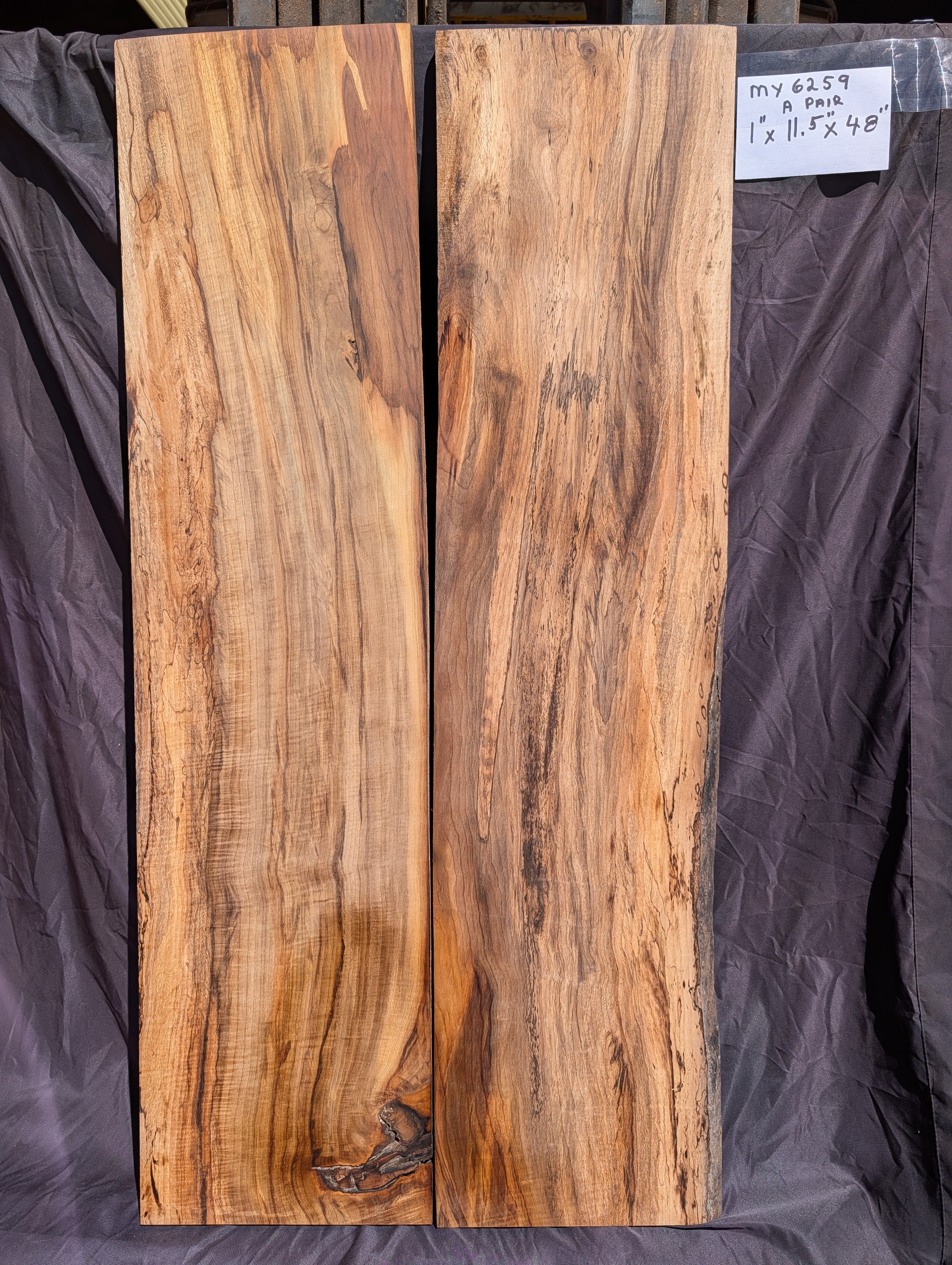 Myrtle Wood MY6259