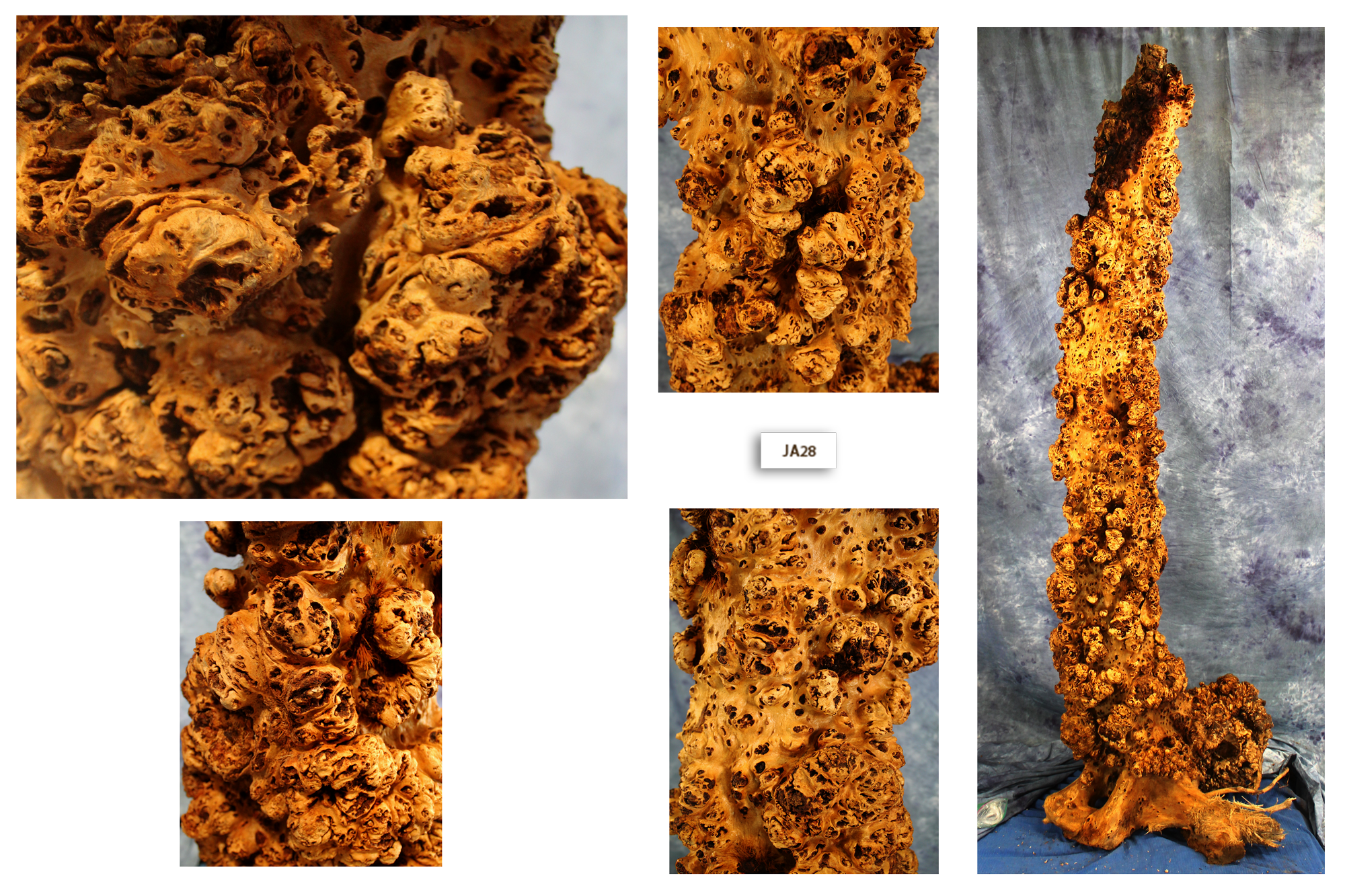Maple Wood Burl Column JA28