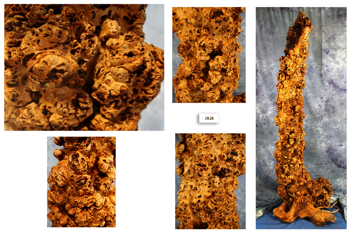 Maple Wood Burl Column JA28 High West Wood Products