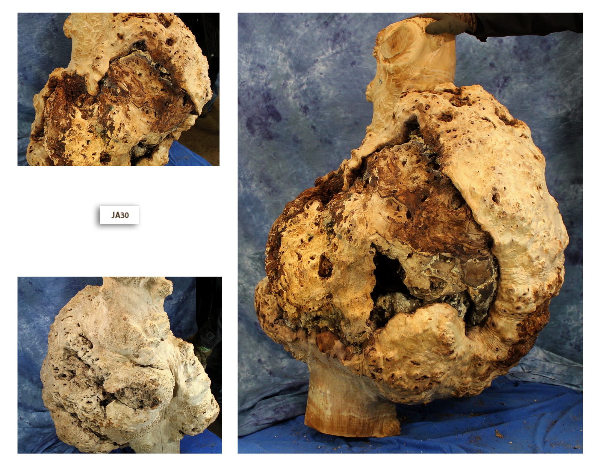 Maple Wood Burl JA30