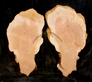 Oregon Juniper Slabs for Resin Wall Art or Small Tables (JU9330)