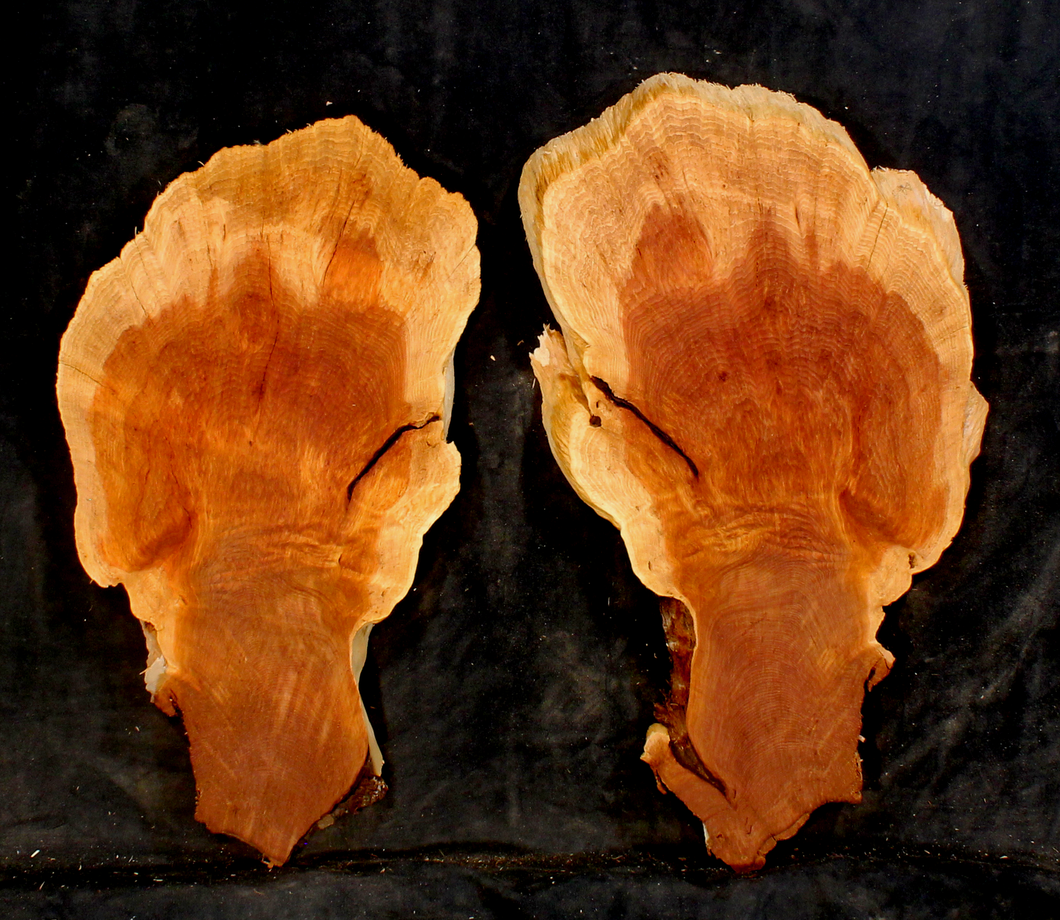 Oregon Juniper Slabs for Resin Art