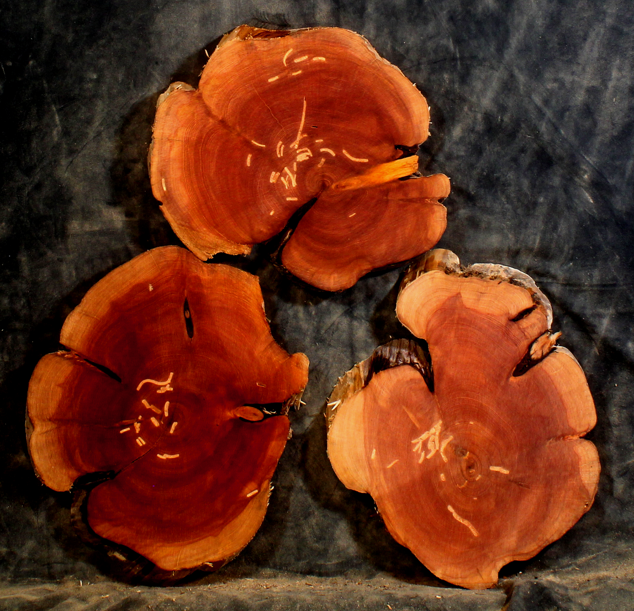 Juniper for Small Tables