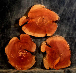 Oregon Juniper Slabs for Resin Art