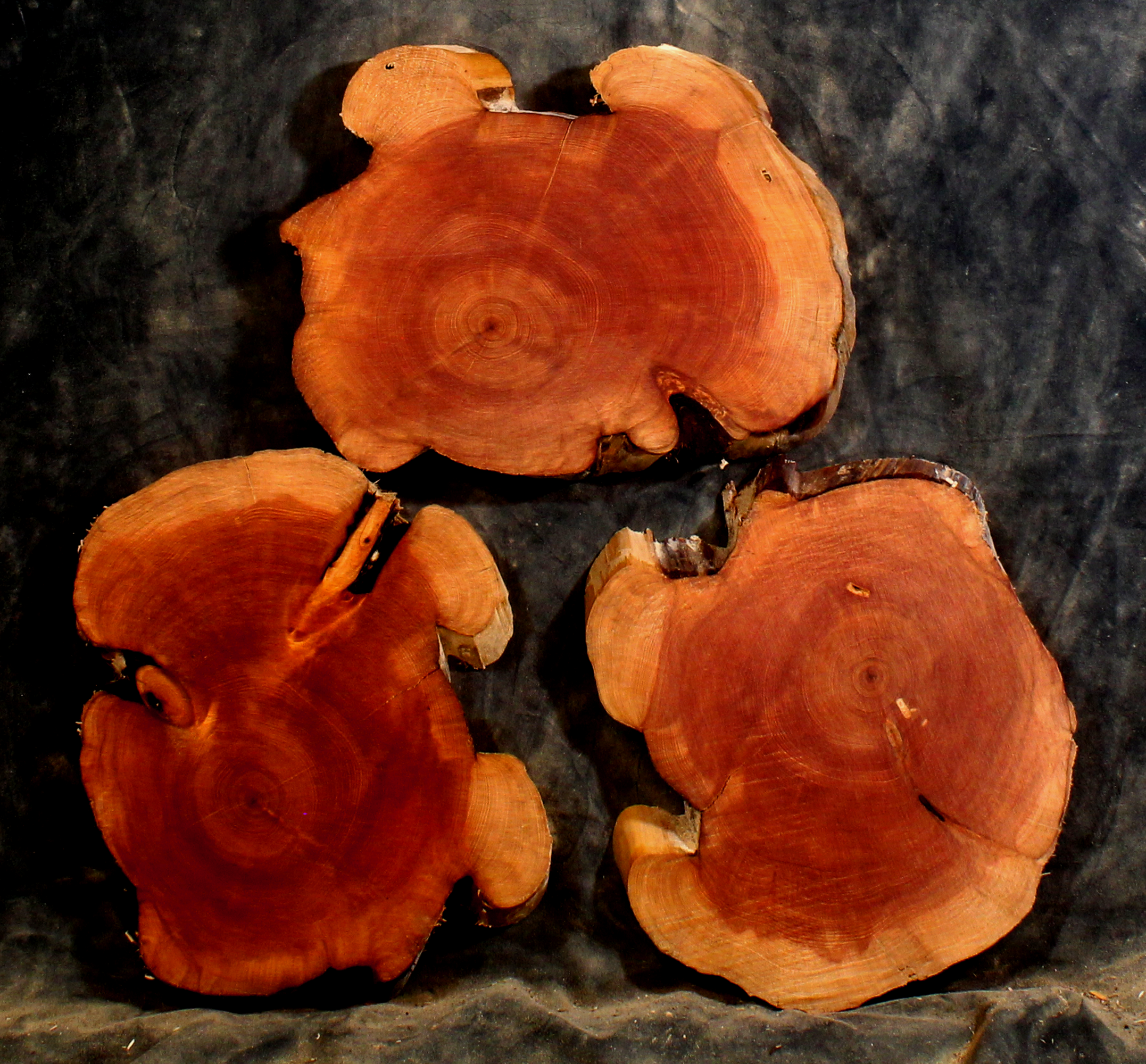 Juniper Slabs for Resin Art