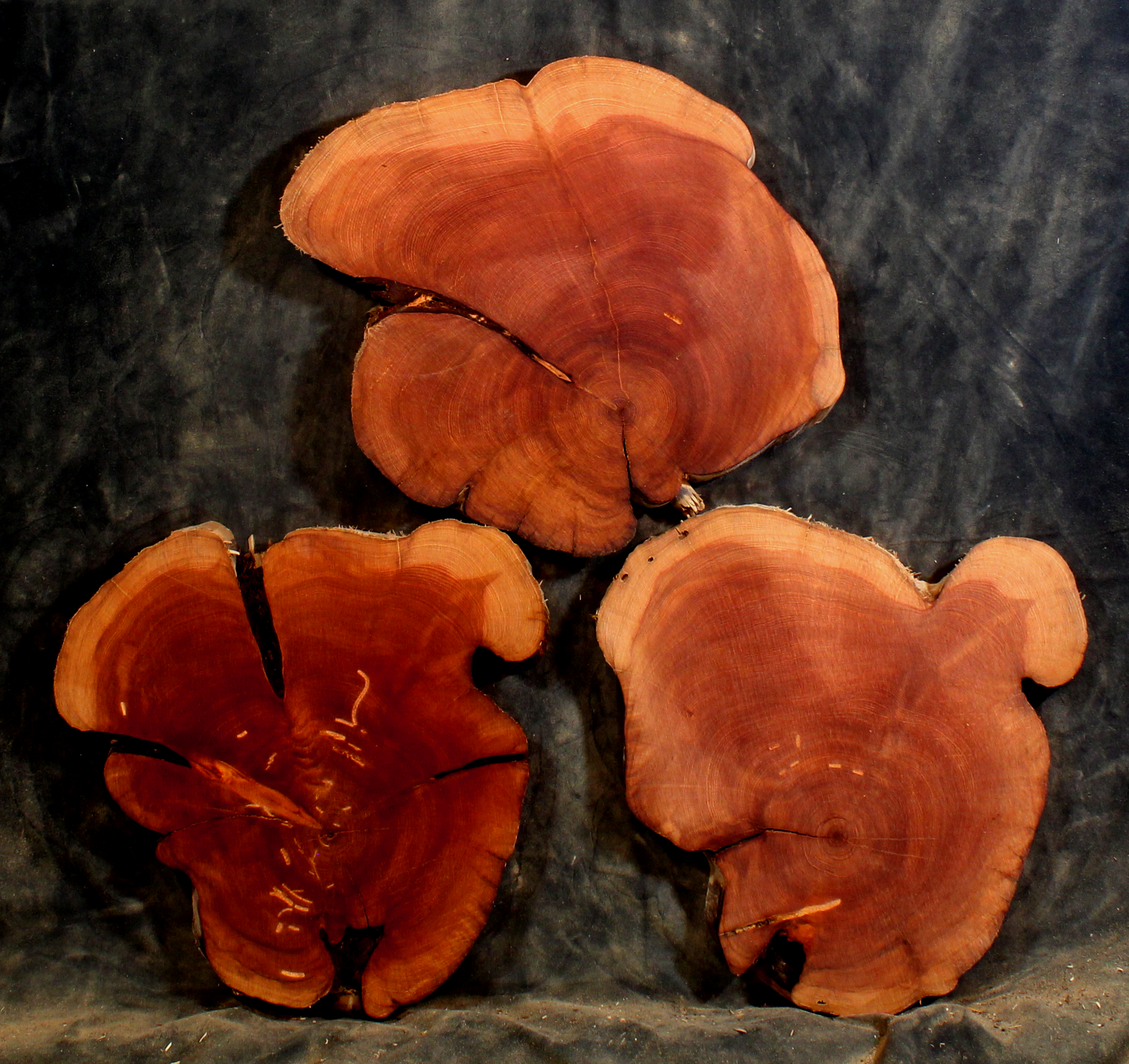 Oregon Juniper Slabs for Small Tables