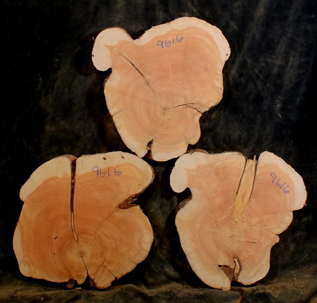 Oregon Juniper for Resin Art or Small Tables (JU9616)