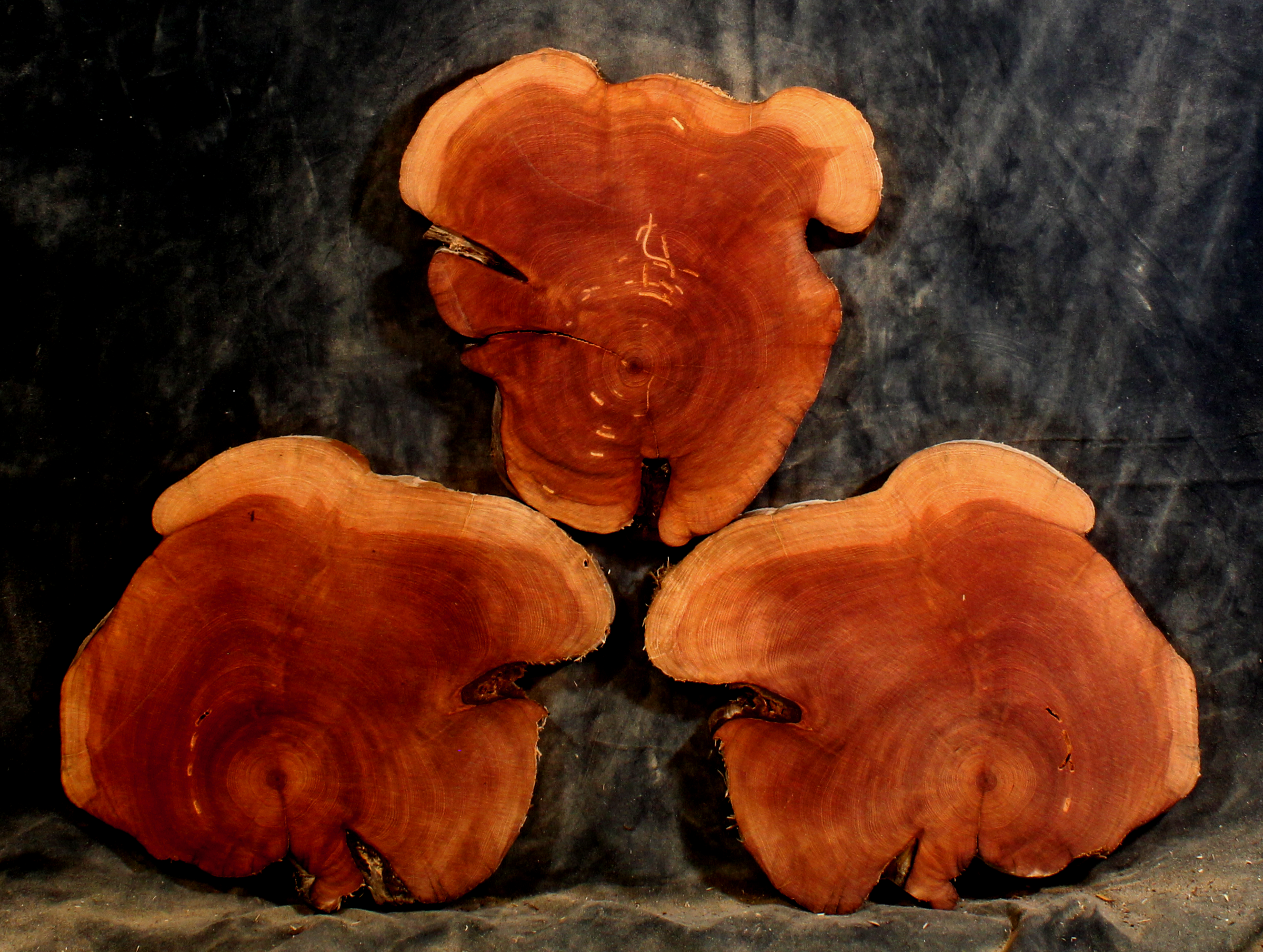 Oregon Juniper Slabs for Resin Art