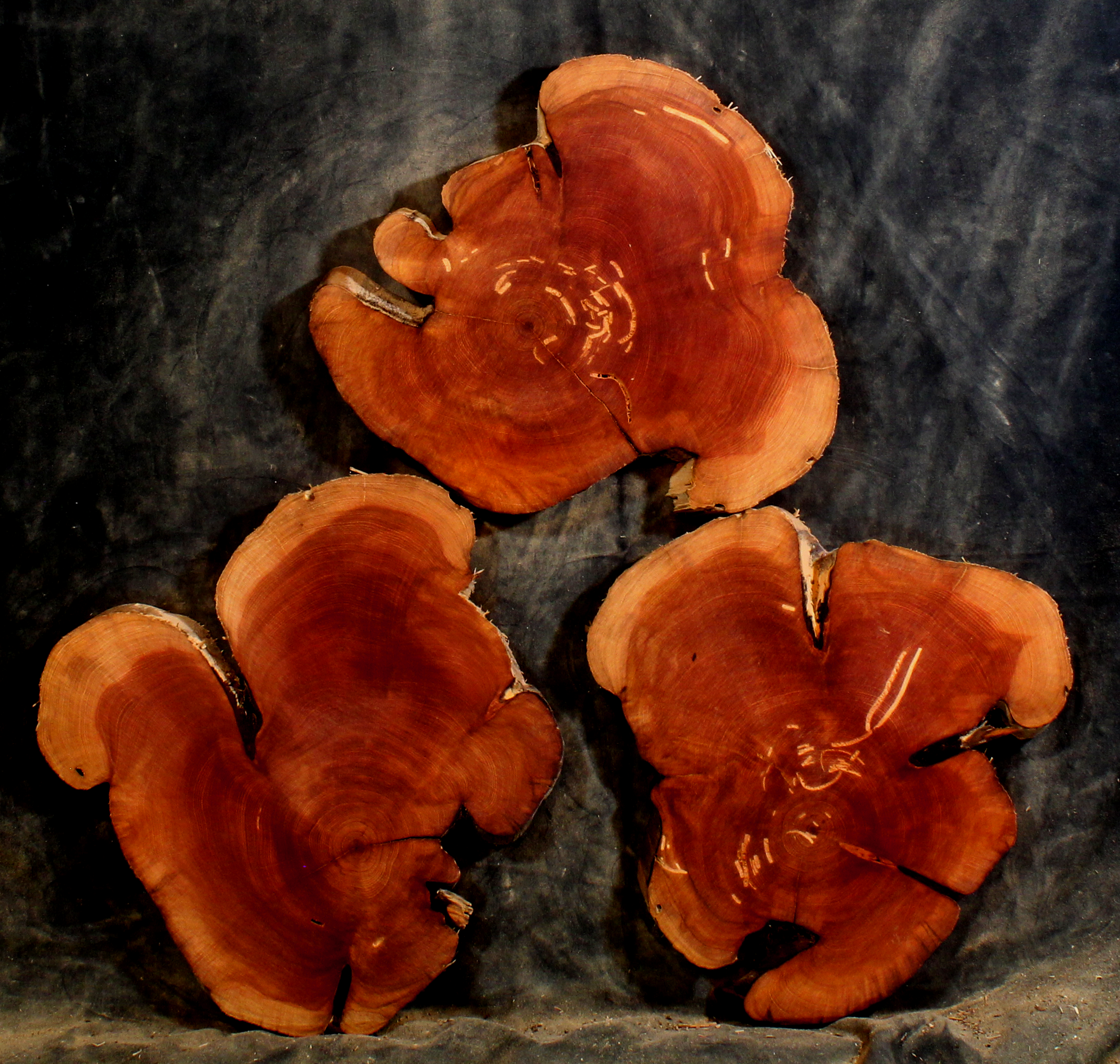 Juniper for Resin Art