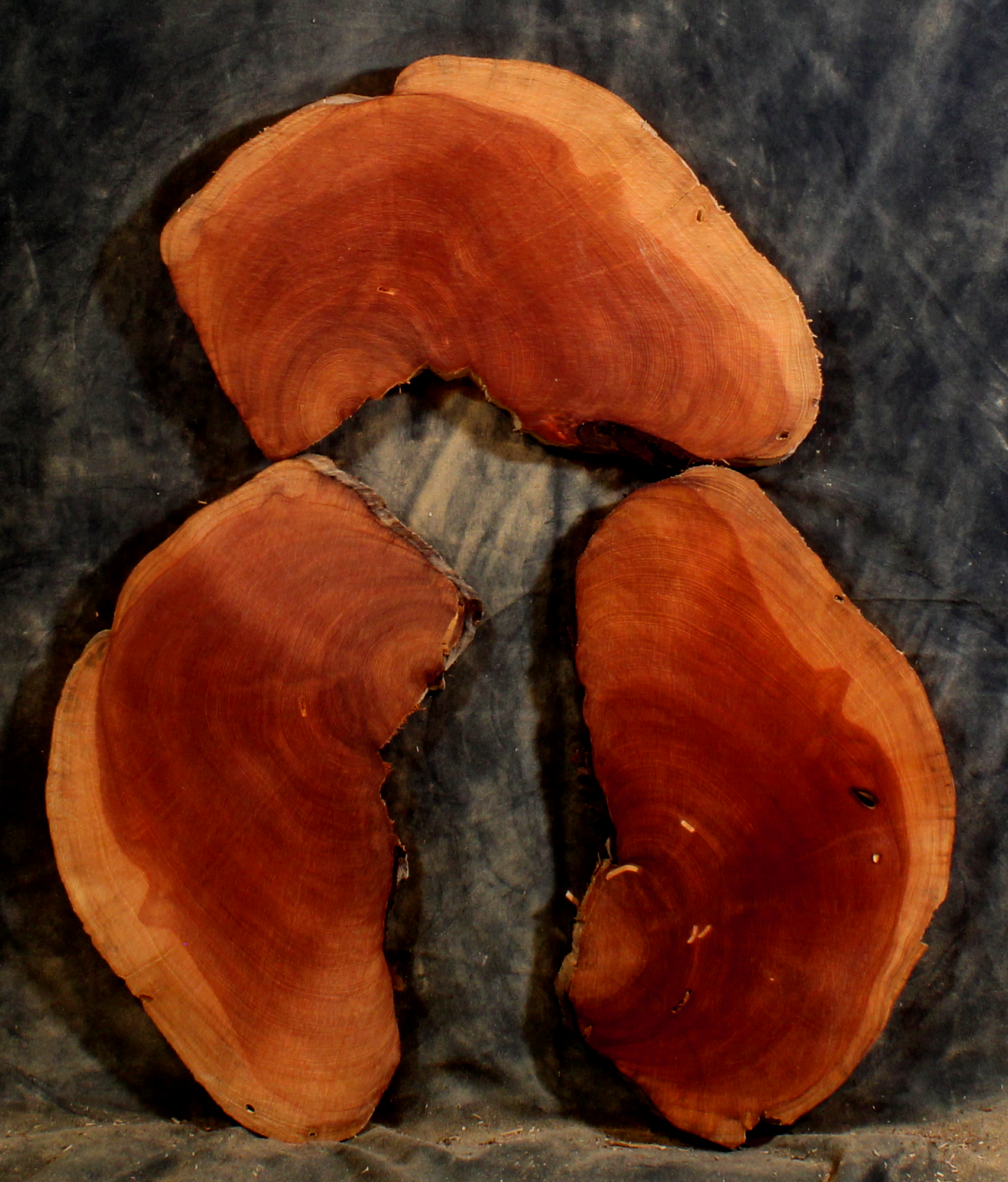 Juniper Slabs for Resin Art