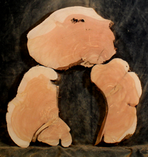 Oregon Juniper for Resin Art or Small Tables (JU9624)