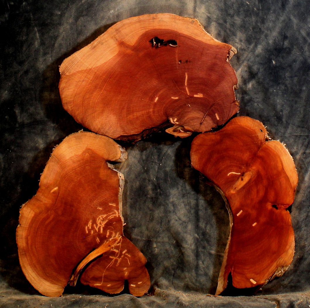 Oregon Juniper for Small Tables or Resin Art