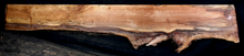Maple Wood Natural Edge Table Slab MA2060I