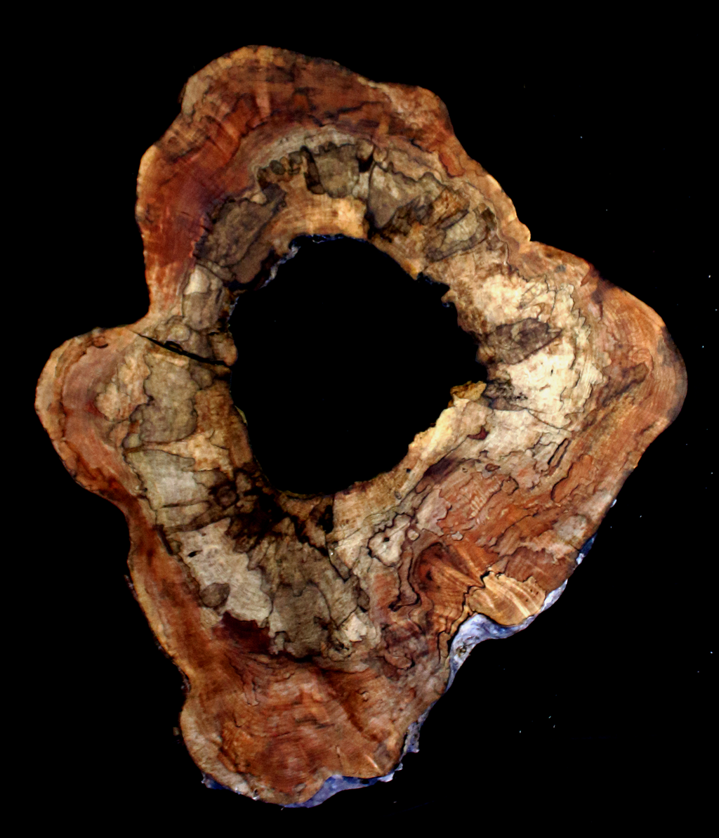 Maple Burl Slab