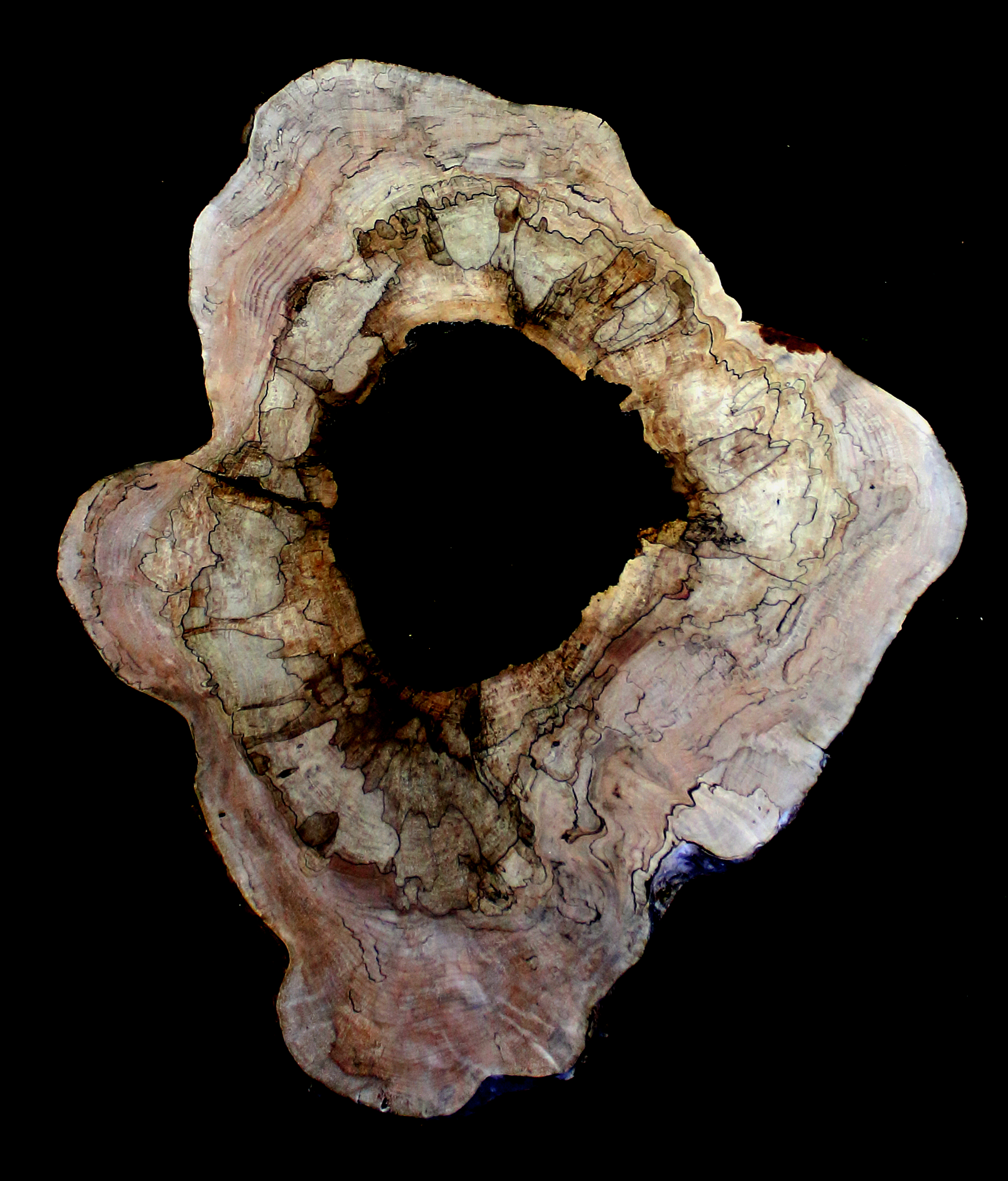 Maple Burl Slab (MA6112)