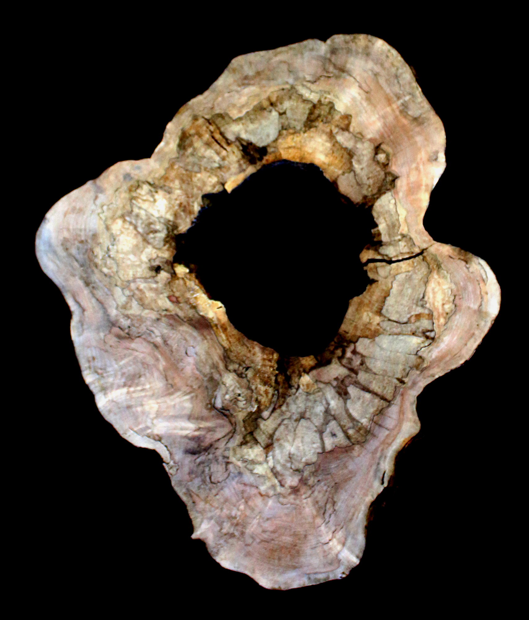 Maple Burl Slab (MA6112)