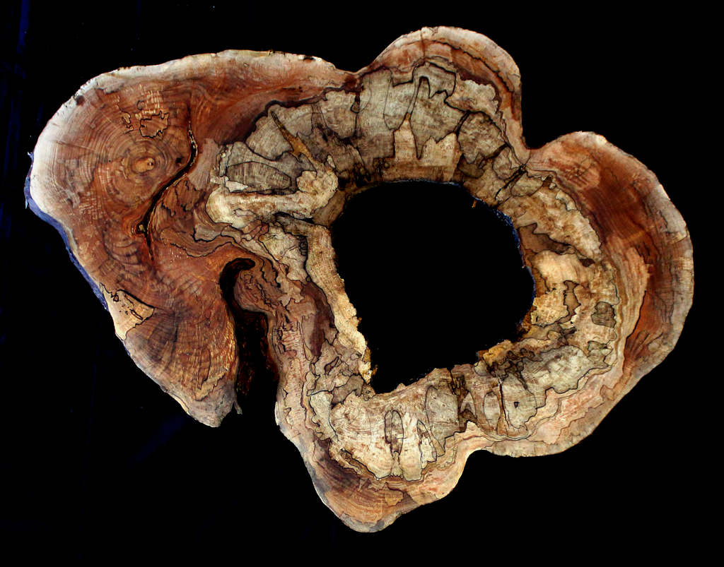 Maple Burl Slab