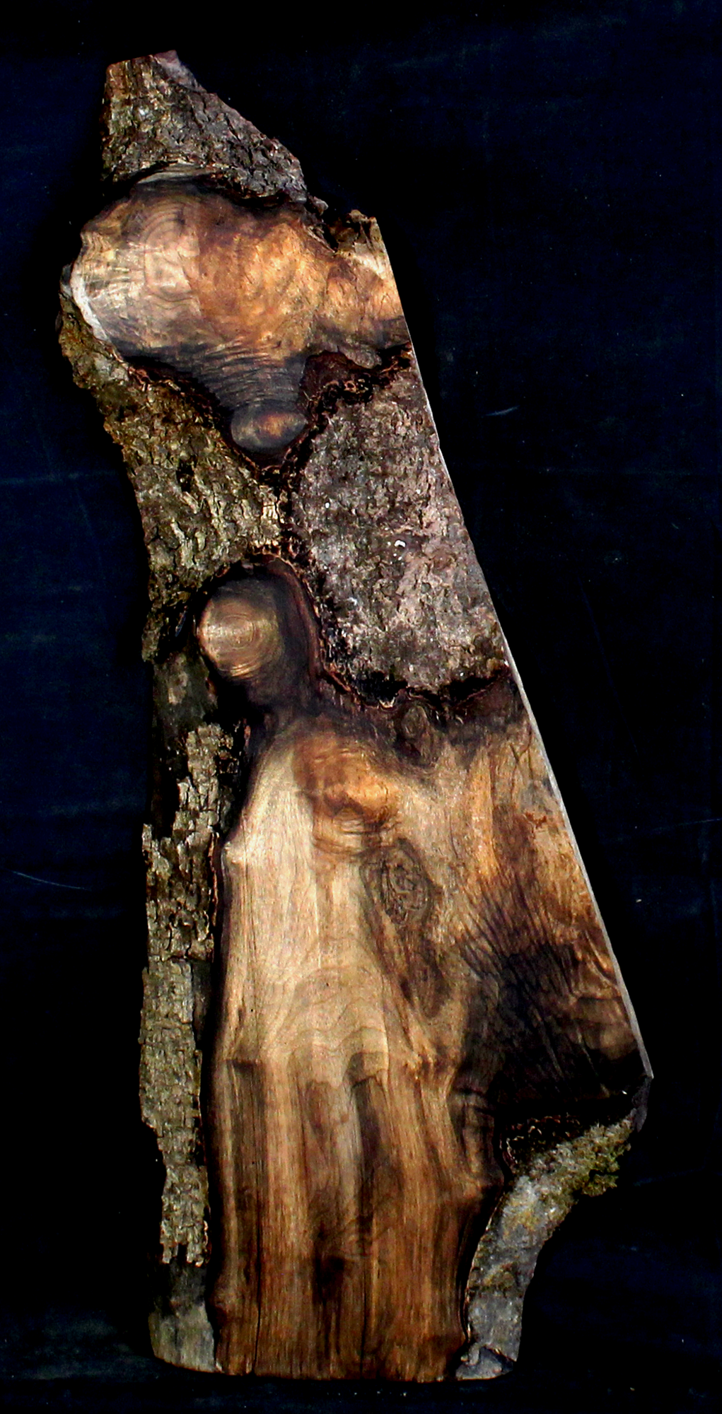 Myrtle Wood Natural Edge Table Slab MY1165I