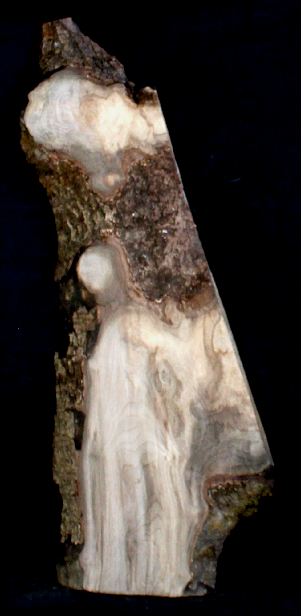 Myrtle Wood Natural Edge Table Slab MY1165I