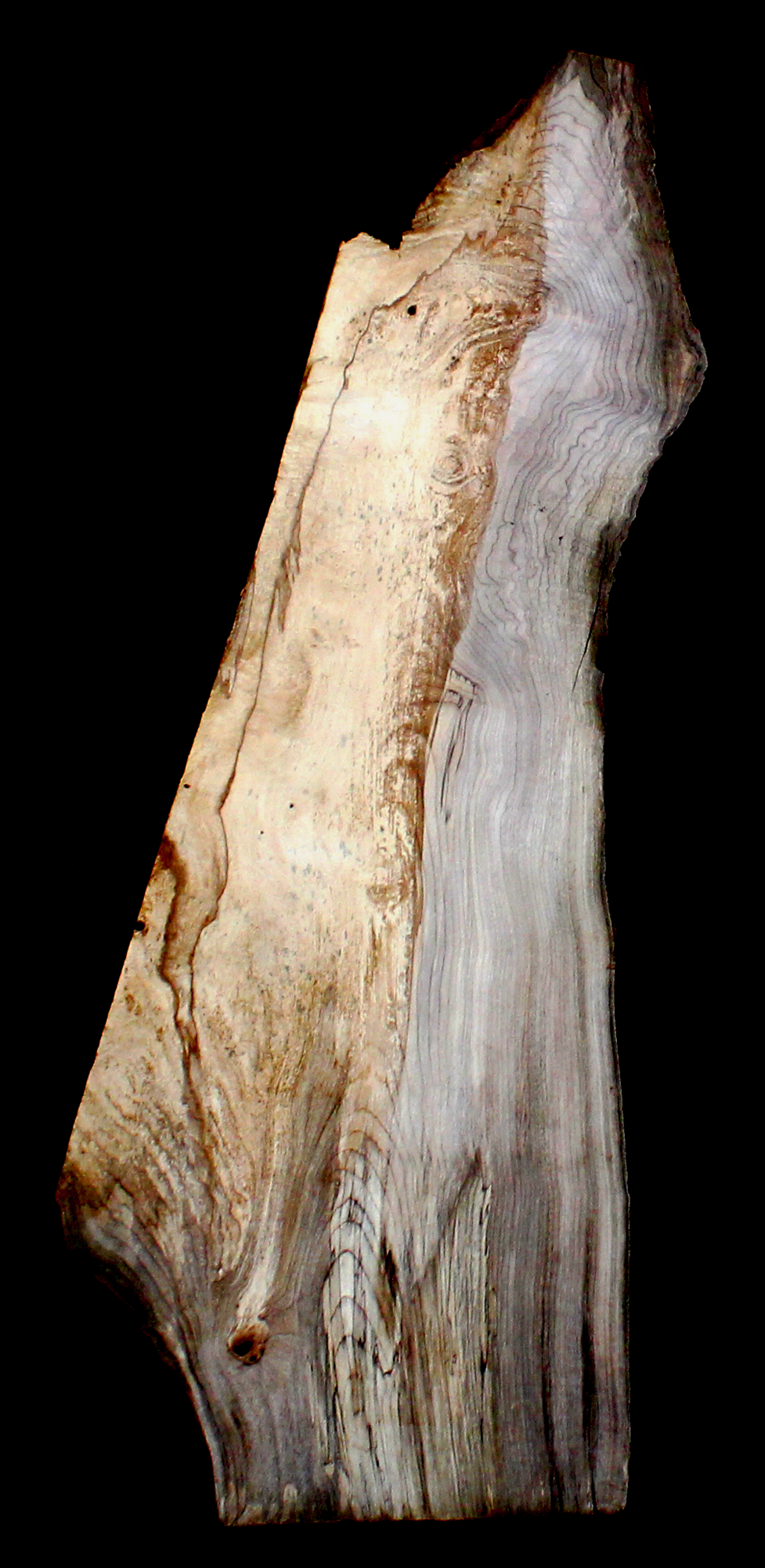 Myrtle Wood Natural Edge Table Slab MY1165I