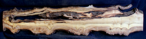 Myrtle Wood Natural Edge Table Slab MY1173I
