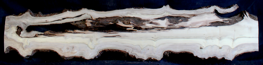 Myrtle Wood Natural Edge Table Slab MY1173I
