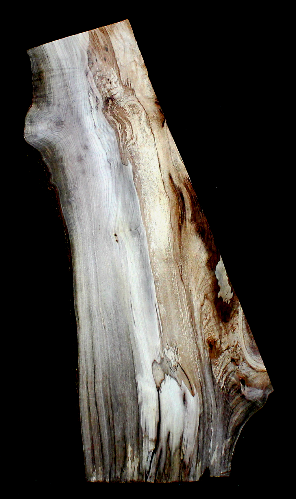 Myrtle Wood Natural Edge Table Slab MY1183I