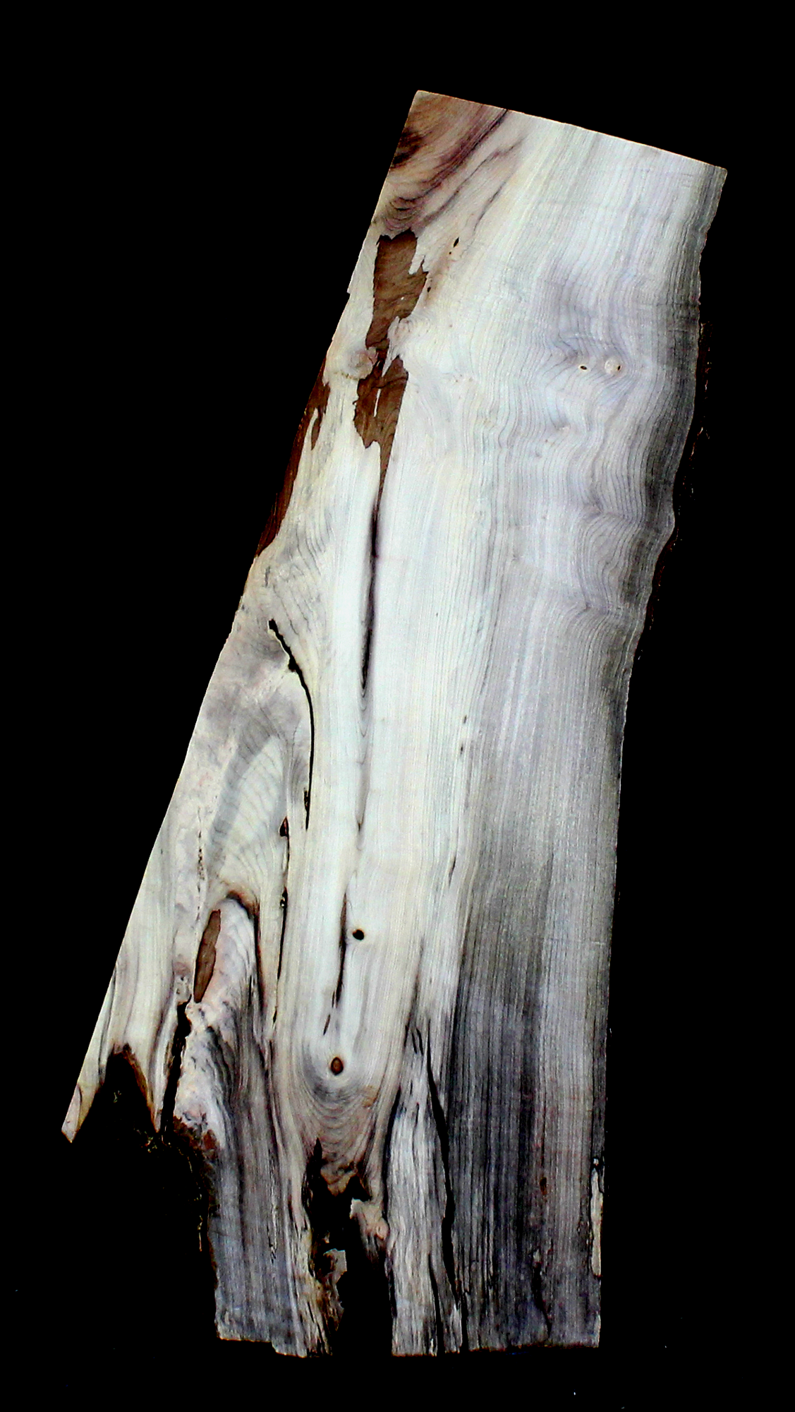Myrtle Wood Natural Edge Table Slab MY1183I