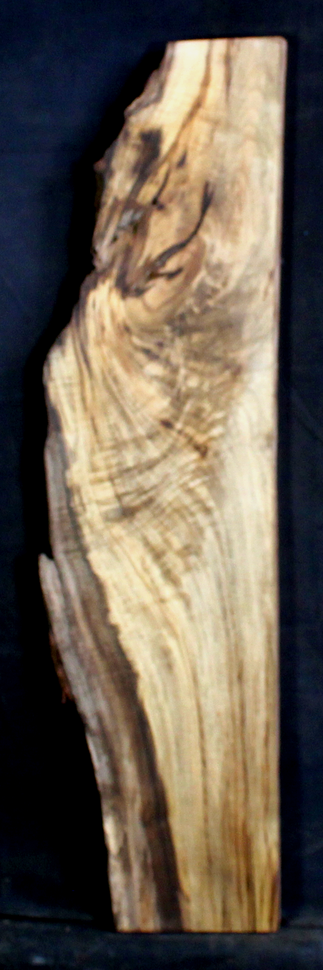 Myrtle Wood Natural Edge Table Slab MY1184I