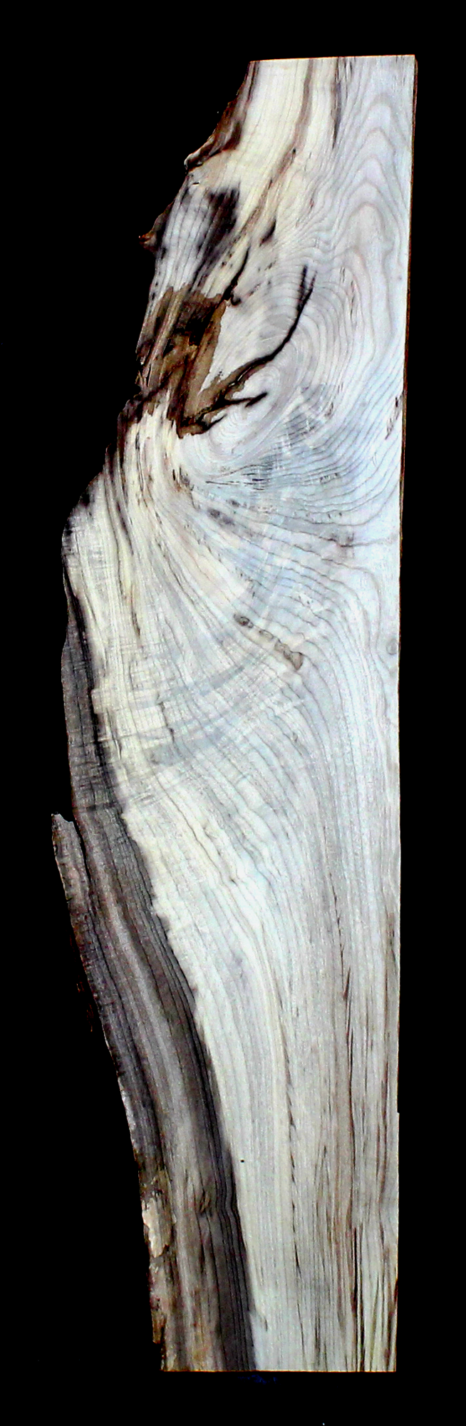 Myrtle Wood Natural Edge Table Slab MY1184I